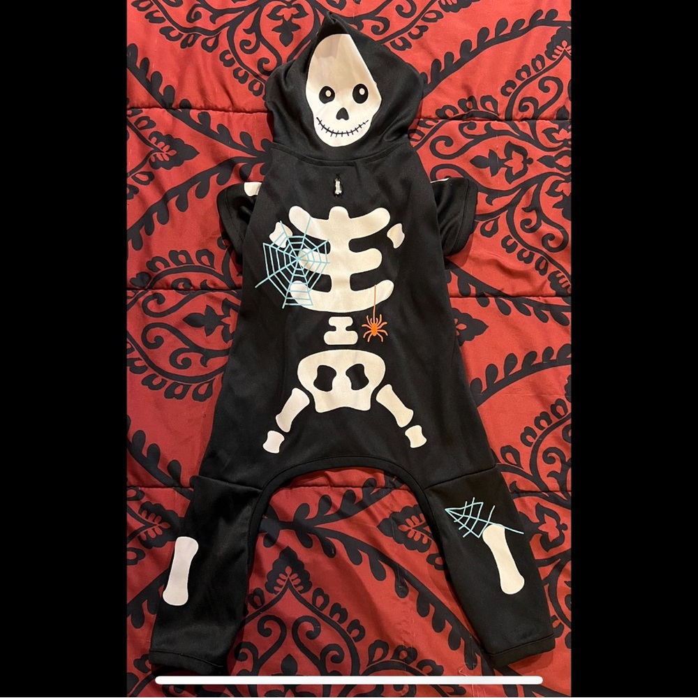 Martha Stewart Dog Skeleton Costume - M